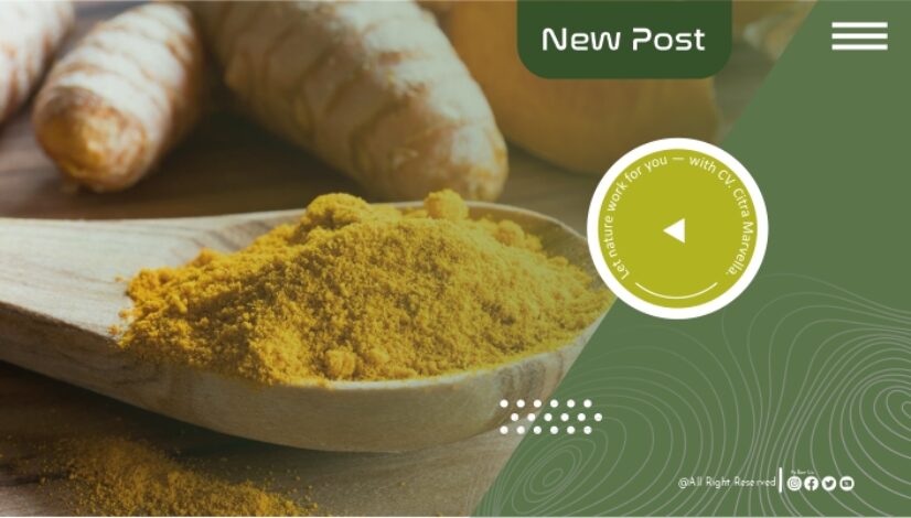 citramarvella articles1