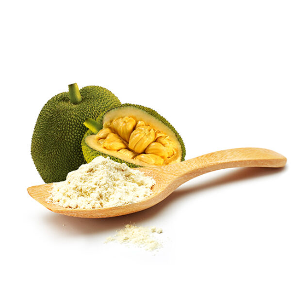 Jackfruit Powder