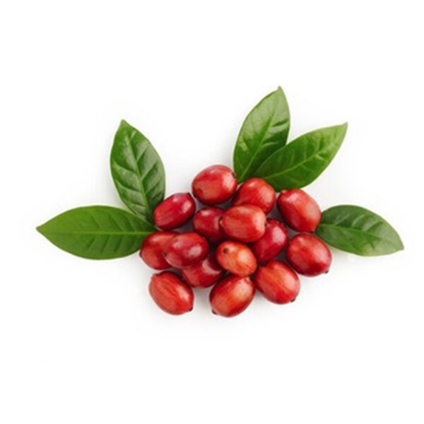 Red Picked Coffee Powder