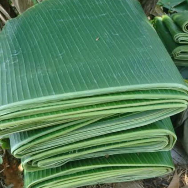 Banana Leaves