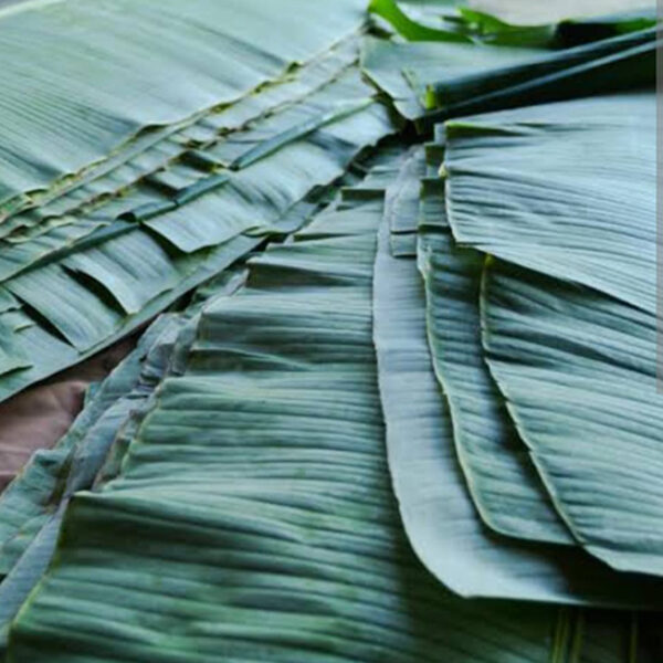 Banana Leaves
